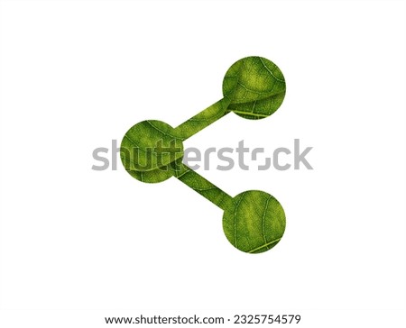 Share shape of green leaves on white background ecology concept