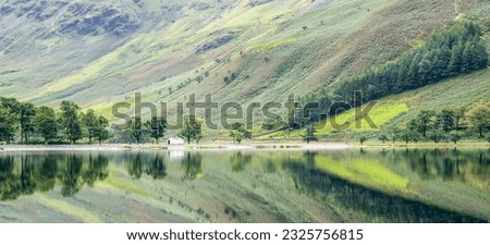 Buttermere Pines reflecting in a still lake