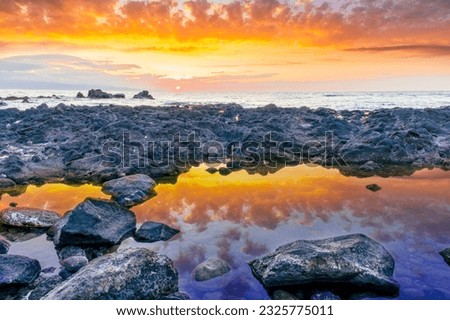 beautiful golden sunset or sunrise on a seashore bank with blue sea water and yellow sunnny evening cloudy sky and amazing reflection on water surface, ocean vacation landscape