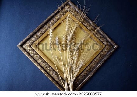 Antique look golden coloured frame with golden coloured wheat ears placed on it. Black background. Art work beautiful DIY art and craft. Hobby creativity recreation 