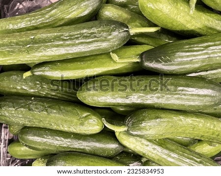 Macro photo vegetable green fresh cucumbers. Stock photo vegetable cucumber background Royalty-Free Stock Photo #2325834953