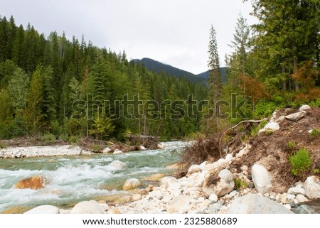 Rapids, forest and mountain view