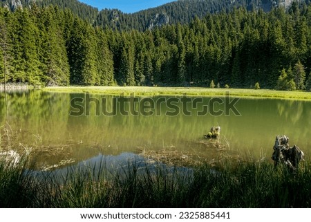 Smolyan Lakes lie on the left slope of the valley of Cherna River (Black River) and below Orpheus’ Rocks and Snezhanka Peak (Snow White Peak – 1926 m above mean sea level) in the Rhodopes to the north