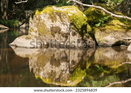 Large stone with moss in a quiet area of the river Mandeo (Betanzos, Spain) a sunny day