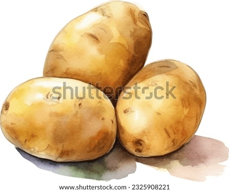 Potato Watercolor illustration. Hand drawn underwater element design. Artistic vector marine design element. Illustration for greeting cards, printing and other design projects. Royalty-Free Stock Photo #2325908221