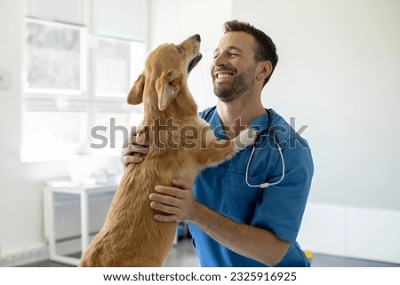 Happy man vet doctor in blue uniform cuddling pembroke welsh corgi dog, playing with little dog after treatment, free space Royalty-Free Stock Photo #2325916925