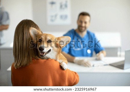 Cute corgi dog looking to the camera while being held by his owner at the vet clinic, selective focus, copy space. Pet health care concept Royalty-Free Stock Photo #2325916967