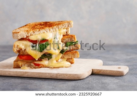 grilled cheese spinach and tomato sandwich on concrete background Royalty-Free Stock Photo #2325920667