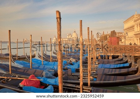 This photograph captures the tranquil beauty of the Venetian Lagoon at dawn, with gondolas at rest and the calm waters reflecting the colors of a new day.