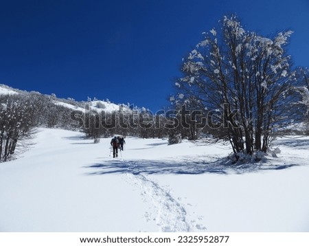 Towards the Serretta della Porticella, in the pure white of the snow and the bright blue of the sky. Pollino National Park. Royalty-Free Stock Photo #2325952877