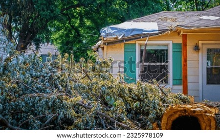House with damaged roof with plastic covering it and tree that fell on it piled up in foreground - storm aftermath Royalty-Free Stock Photo #2325978109
