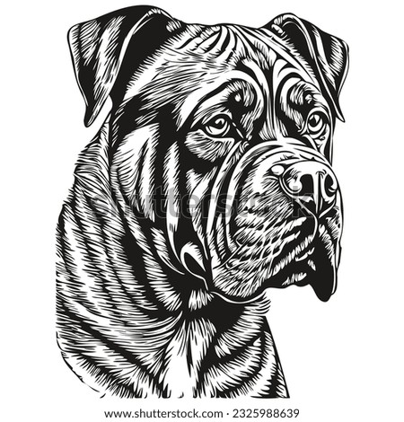 Dogue de Bordeaux dog silhouette pet character, clip art vector pets drawing black and white