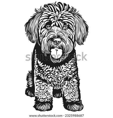 Black Russian Terrier dog head line drawing vector,hand drawn illustration with transparent background realistic breed pet