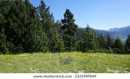 Mountain landscape from the Mirador del Roc del Quer in Canillo, Andorra