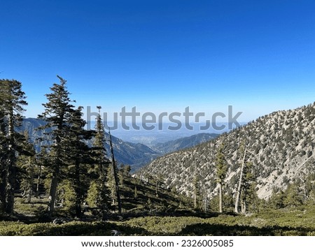 View off the trail from the climb up MT baldy