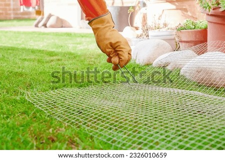 Unrecognizable gardener wearing working gloves uses galvanized landscape staples to hold a metal mesh to protect new growing lawn and seeds. Royalty-Free Stock Photo #2326010659