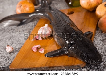 Raw uncooked fish sturgeon at plate before preparing laying on table..