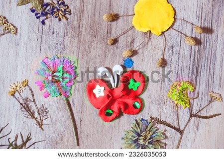 Autumn crafts with natural dry flowers, grass, leaves. Creating butterfly, sun from plasticine, clay. Making fairy landscape, inspiration, imagination, Teaching a child spatial imagination