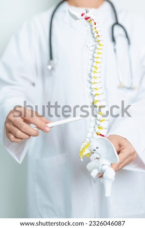 Doctor with human Spine anatomy model. Spinal Cord Disorder and disease, Back pain, Lumbar, Sacral pelvis, Cervical neck, Thoracic, Coccyx, Orthopedist, chiropractic, Office Syndrome and health Royalty-Free Stock Photo #2326046087