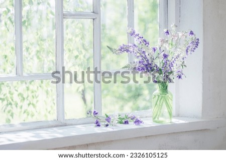summer flowers in vase on windowsill in sunlight Royalty-Free Stock Photo #2326105125