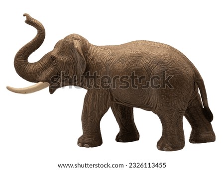 elephant stand on white background png