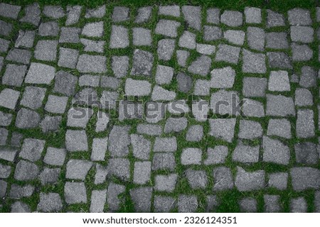Green grass texture cobble stones style. square blocks. Green plants on gray stone paving. Top view image. cobblestones. 