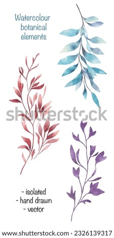 Set of botanical elements isolated. Floral branches clip art. Decorative seasonal elements