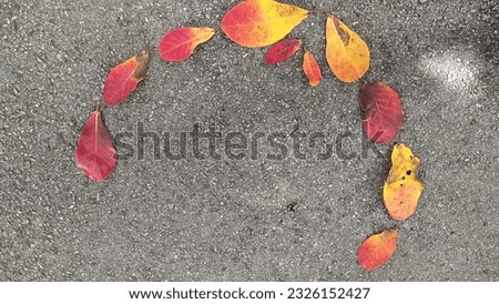 Red dry leaves natural background of red dry leaves flashy bright colors conveys the dynamism of life