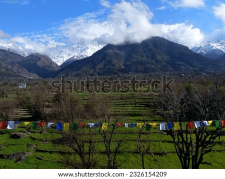 Pics from the beautiful city of Dharmshala, Himachal Pradesh