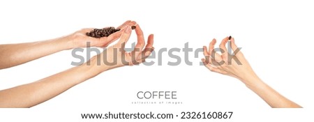 Coffee beans in female hands isolated on white background. High quality photo