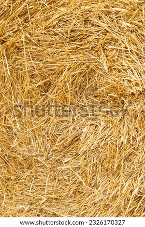 Hay texture. Hay bales are stacked in large stacks. Harvesting in agriculture. Royalty-Free Stock Photo #2326170327