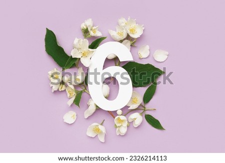 Green leaves and white flowers with paper number six on lilac background Royalty-Free Stock Photo #2326214113
