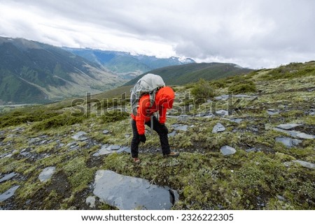 Hiking woman on high altitude mountain top Royalty-Free Stock Photo #2326222305