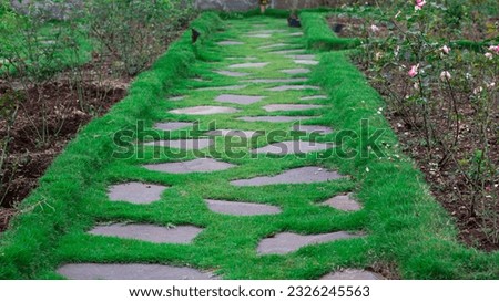 Beautiful park with grass block on path way