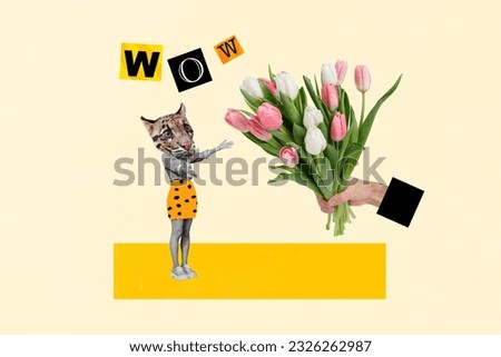 Photo collage artwork picture of funky impressed tiger head lady getting flowers gift isolated graphical background
