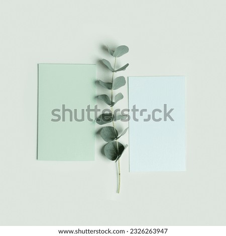 Blank green cards for text on table, Greeting or invitation paper texture empty card with eucalyptus branches. Flat lay in green colored, copy space, minimal life style photo. Natural organic concept 