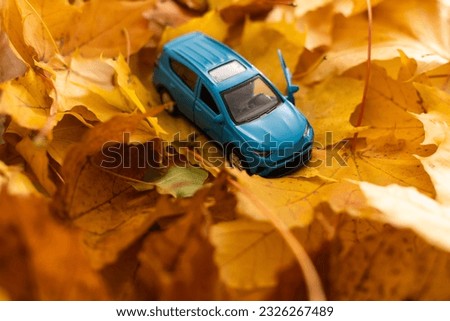 yellow leaves and a toy car