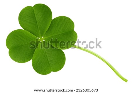 Clover isolated on white background, St. Patrick's Day symbol, clipping path, full depth of field Royalty-Free Stock Photo #2326305693