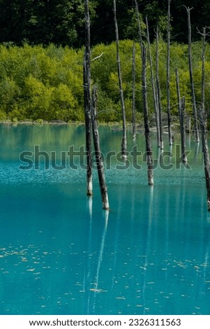 Lake surface of a blue pond showing green trees
