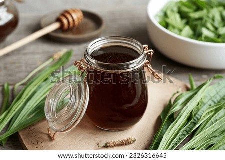 Ribwort plantain syrup in a glass jar on a table Royalty-Free Stock Photo #2326316645