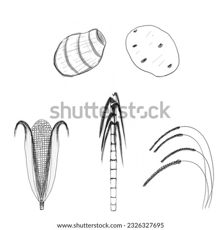 Drawing of field crops isolated