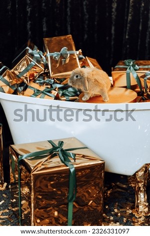Decorative hare on New Year's gifts, concept of New Year and Christmas holidays