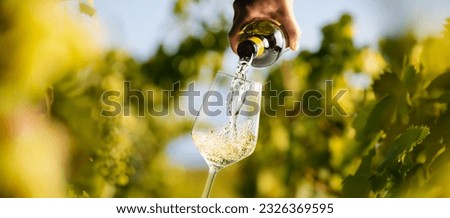 Wine glass with pouring white wine and vineyard landscape in sunny day. Winemaking concept, copy space Royalty-Free Stock Photo #2326369595
