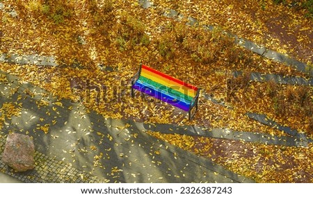 A clear and beautiful autumn picture of a rainbow color bench standing in middle of fall leaves 