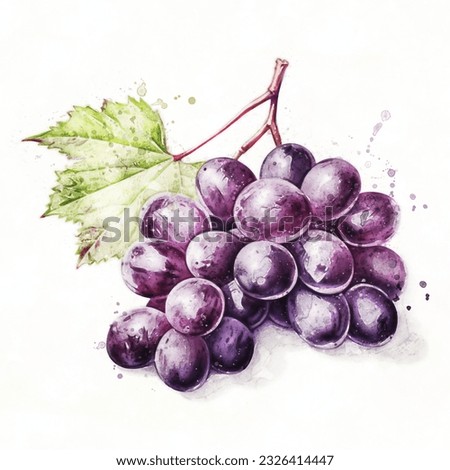 Delicious back grapes. Grape bunch on a white background. Juicy watercolor illustration. Clip art for decoration.
