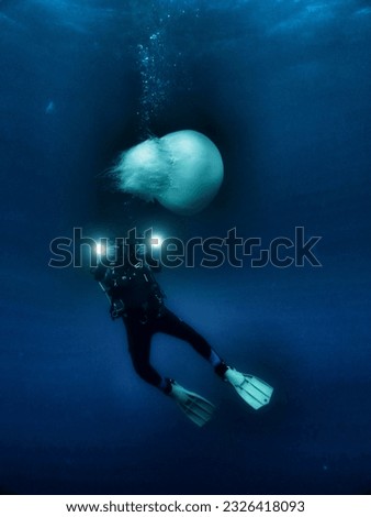 diver take a picture of jellyfish.  underwater Mediterranean sea underwater,  colors of shades of blue 