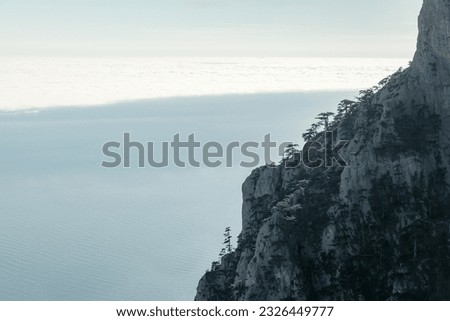 Mountain landscape with pine trees growing on rock. Natural photo taken on Ai-Petri peak in the Crimean Mountains