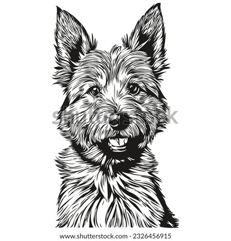 Norwich Terrier dog vector face drawing portrait, sketch vintage style transparent background realistic pet silhouette