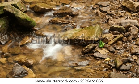 White water flows beautifully over rocks in a clear stream.