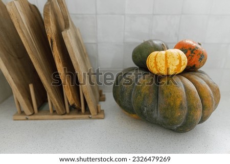 Pumpkins and wooden cutting board on modern kitchen. Autumn harvest and pumpkin recipes. Fall squashes on granite countertop close up. Space for text. Thanksgiving
